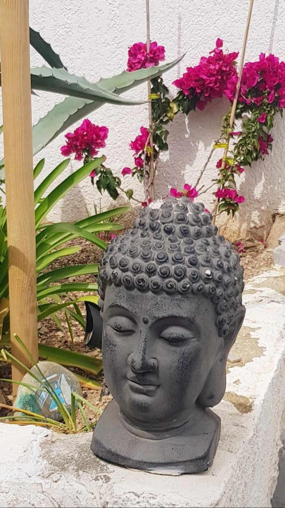 La Villa Du Menhir Gite Bize-Minervois Dış mekan fotoğraf
