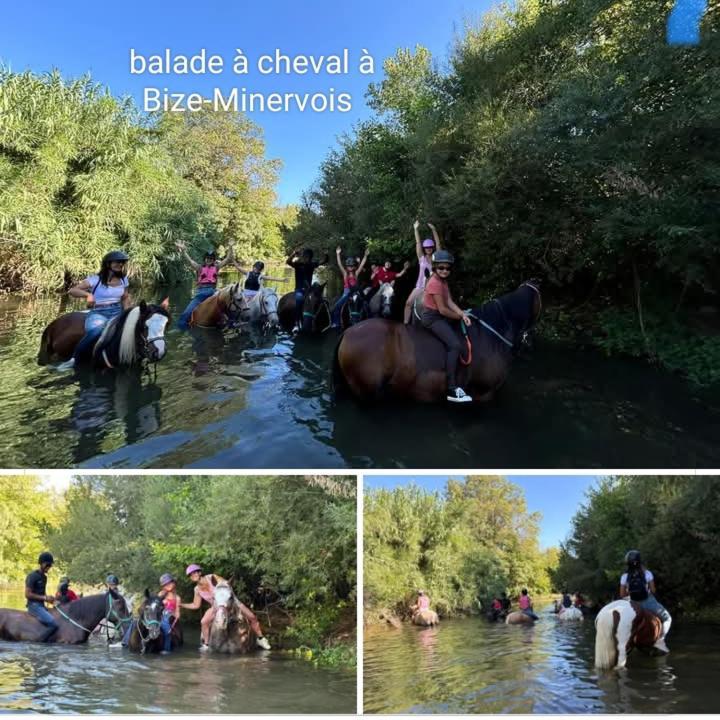 La Villa Du Menhir Gite Bize-Minervois Dış mekan fotoğraf