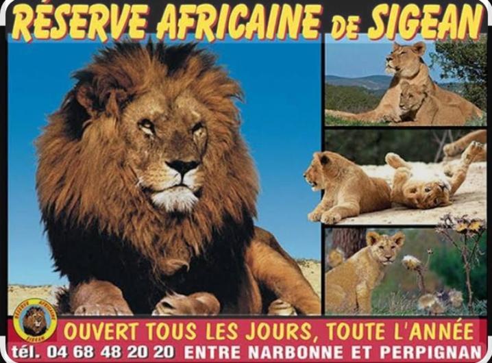 La Villa Du Menhir Gite Bize-Minervois Dış mekan fotoğraf